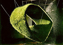 boniface02