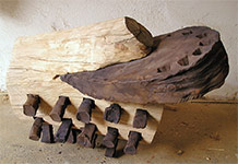 bosi-02-p