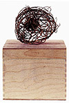 rosa-10-150