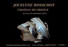 139-bosschot-09-2013