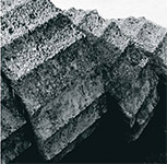 voliotis-1